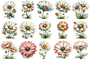 Whimsical Spring Daisy Flower Clipar, an Illustration by OK Design (Thumbnail 3 of 6)