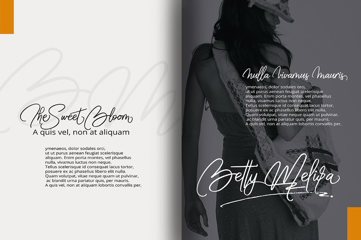 bella script preview 7