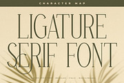 Basramle Ligature Serif Font, a Serif Font by Storytype Studio (Thumbnail 7 of 15)