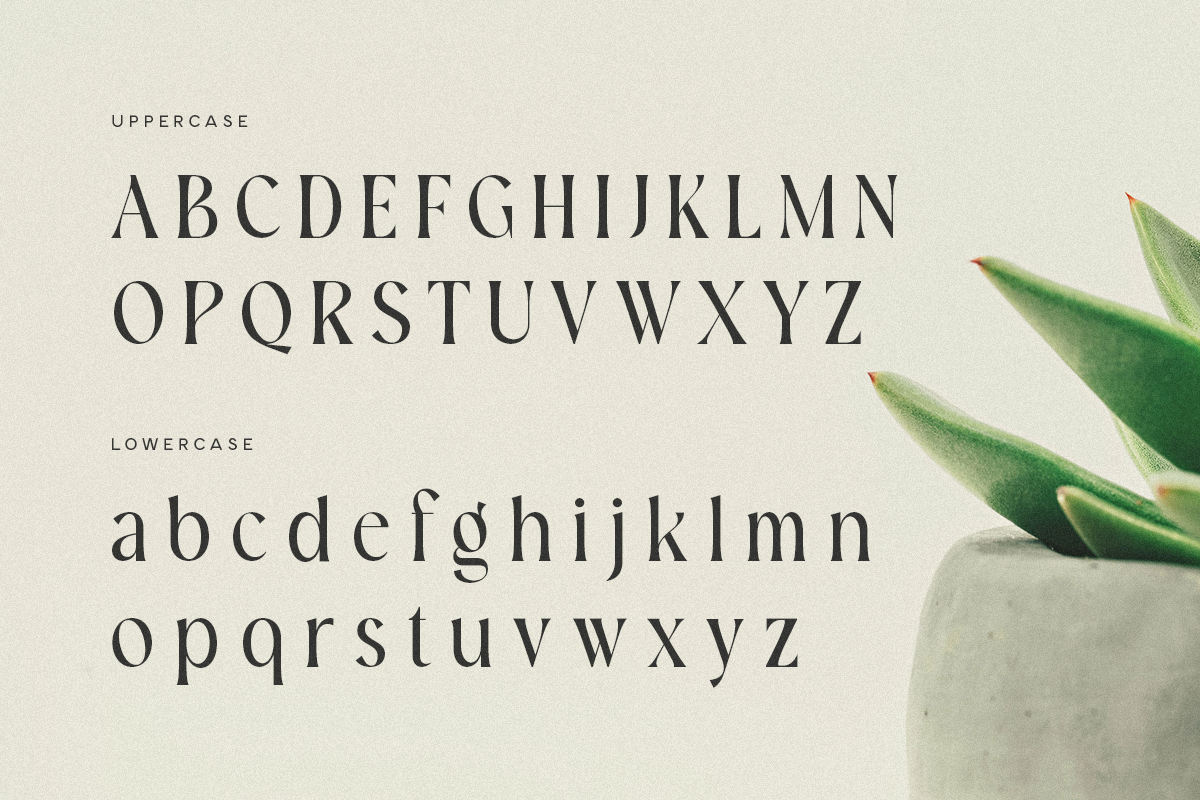 Bokeh - Luxury Logo Font, a Serif Font by Sensatype (Photo 10 of 12)