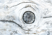 varied wood grain bundle, a Texture Graphic by VetalStock (Thumbnail 7 of 12)