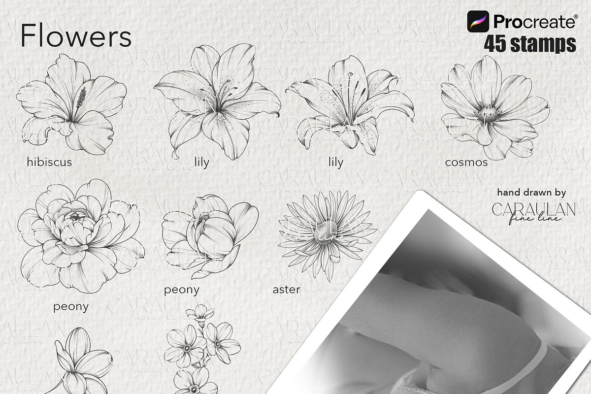 Floral Tattoo Essentials, a Brush Add-On by CaraulanStore (Photo 3 of 8)