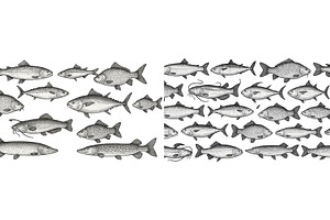 Diverse types of fish illustrated, an Animal Photo by ZinetroN