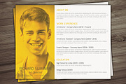 Landscape Resume Template, a Resume Template by Visual Impact (Thumbnail 3 of 4)