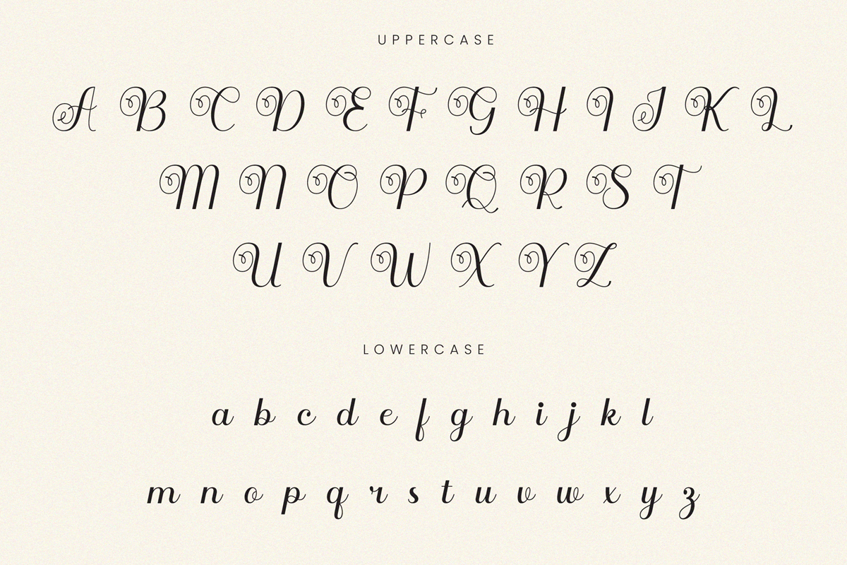 Ranzene - Elegant Script Font, a Script Font by Randi Irvan | Rvandtype (Photo 9 of 14)