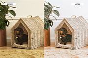 Lightroom Presets for Product & Food, an Action Add-On by Best Lightroom Presets (Thumbnail 31 of 31)