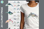 Dolphin Illustration Bundle, 22 PNG, an Animal Illustration by Enliven Designs (Thumbnail 1 of 8)