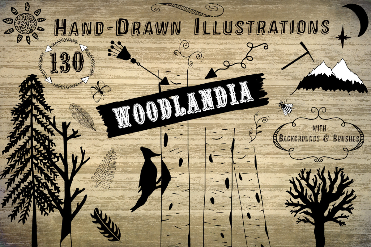 Woodlandia Hand Drawn Illustrations, an Illustration by Le Paper Cafe (Photo 1 of 5)