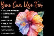 Hibiscus Flower Watercolor Cliparts, an Illustration by Designworld (Thumbnail 6 of 8)