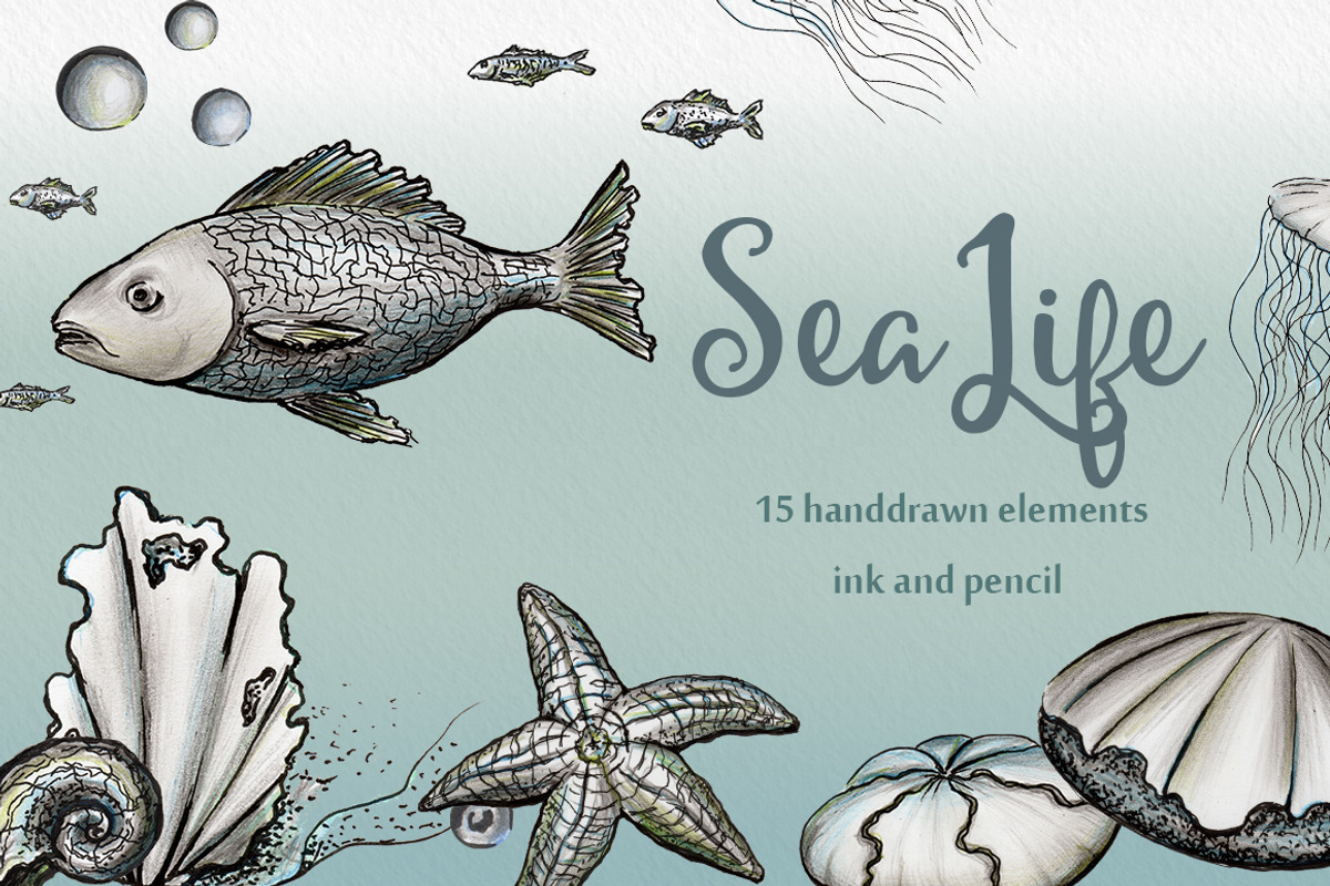 Sea Life - Ink & pencil pack, an Illustration by Watercolor Nomads (Photo 1 of 2)