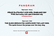 Eigerwand sans serif font family, a Sans Serif Font by Artistic & Unique (Thumbnail 13 of 14)