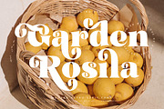 Garden Rosila Modern Retro Serif, a Serif Font by timelesstype.co (Thumbnail 1 of 20)