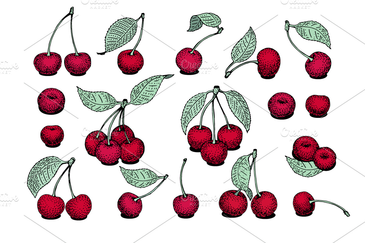 Cherry Vector Collection, a Food Illustration by Lubov Illustrations Shop (Photo 3 of 7)