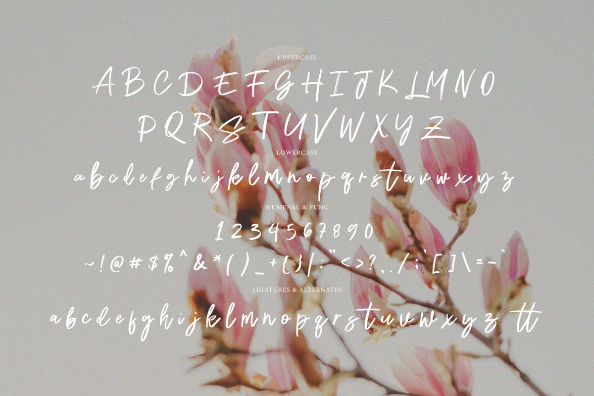 Hafine - Casual Brush, a Handwritten Font by tebaltipislab (Photo 6 of 10)