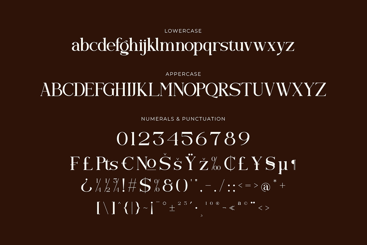 Qelvoria - Modern Serif Font, a Serif Font by Rishsketch (Photo 13 of 15)