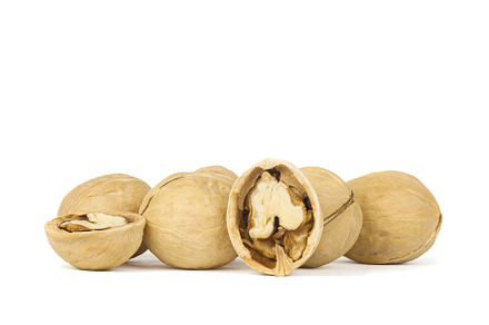 Walnut isolated on white background, a Food & Drink Photo by AlexBush