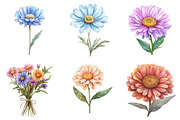 Watercolor Aster Flowers Botanical C, an Illustration by Watercolor design (Thumbnail 3 of 4)