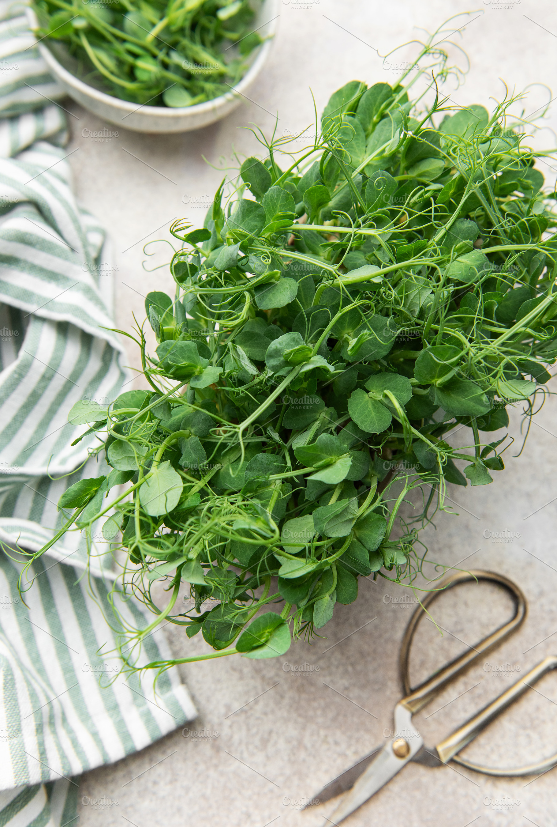 Fresh pea shoots microgreens for healthy organic food, a Photo by Olena Rudo