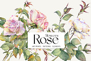 Romantic Watercolor Rose Clipart, a Decorative Illustration by Jeanna Draw (Thumbnail 1 of 17)