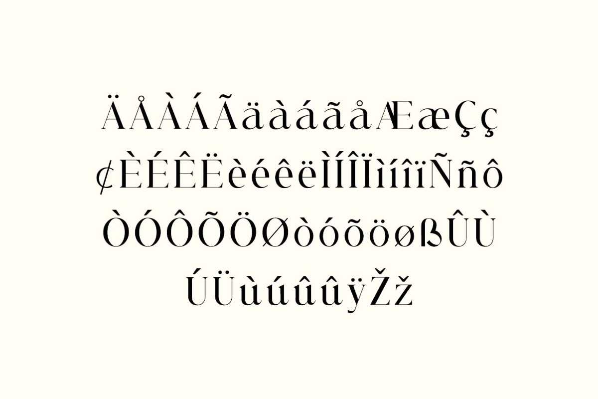 Allure Majestic Serif Family Font, a Serif Font by UICreative (Photo 5 of 12)