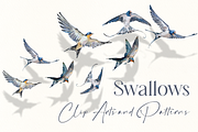 Swallows Watercolour Set, a Decorative Illustration by Tati Bordiu (Thumbnail 1 of 6)