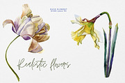 Spring wildflowers watercolor, a Decorative Illustration by Artcard Watercolor (Thumbnail 6 of 12)