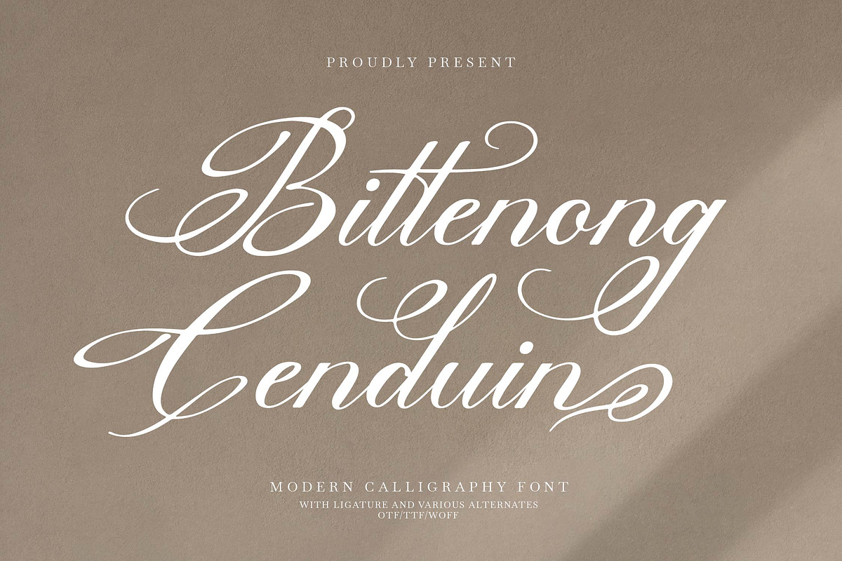 Bittenong Cenduin Modern Calligraphy, a Script Font by Denustudios (Photo 1 of 13)