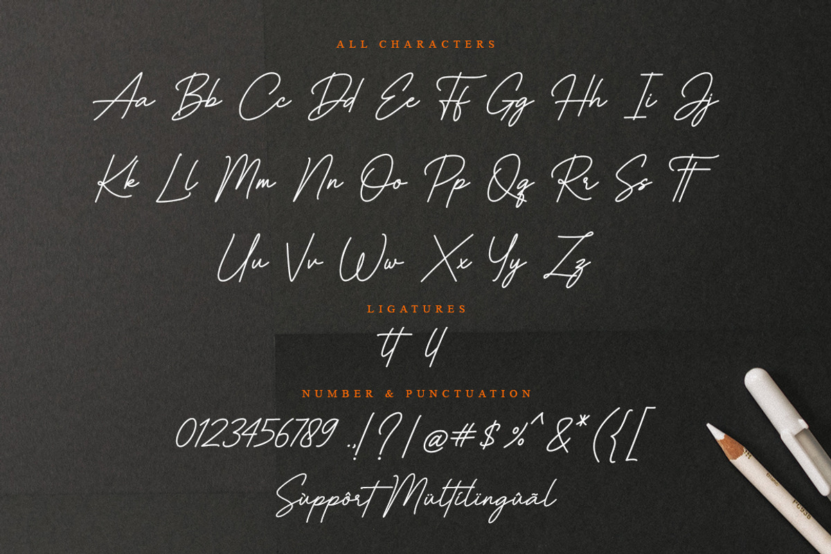 Elliana Samantha - Stylish Signature, a Script Font by Bluestype Studio (Photo 10 of 11)