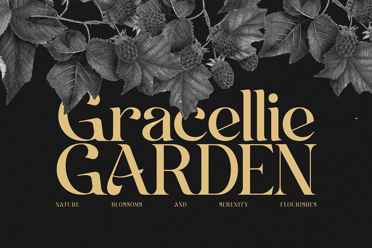 Sange Elegant Serif Font, a Serif Font by Graphicxell (Photo 6 of 8)