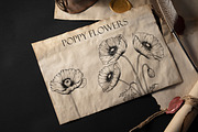 Poppy Flowers Line Art SVG, an Object Graphic by Dervik Art Store (Thumbnail 2 of 7)