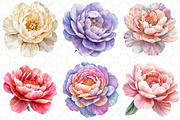 Watercolor Peony Flower Clipart, an Illustration by Black Bird Studio (Thumbnail 3 of 5)
