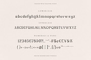 Bestari Serif Business Font, a Serif Font by Creatype Studio (Thumbnail 9 of 9)