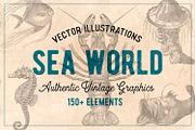 154 Vintage Sea Illustrations, an Animal Illustration by Brigantine Designs (Thumbnail 1 of 10)