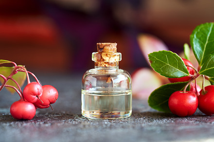 Essential oil bottle with wintergreen twigs, a Food & Drink Photo by Madeleine Steinbach