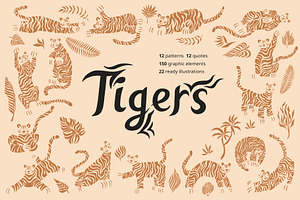 Tiger set. Vector elements, patterns