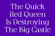 CS Frode – Modern Serif Font, a Serif Font by Craft Supply Co. (Thumbnail 5 of 8)