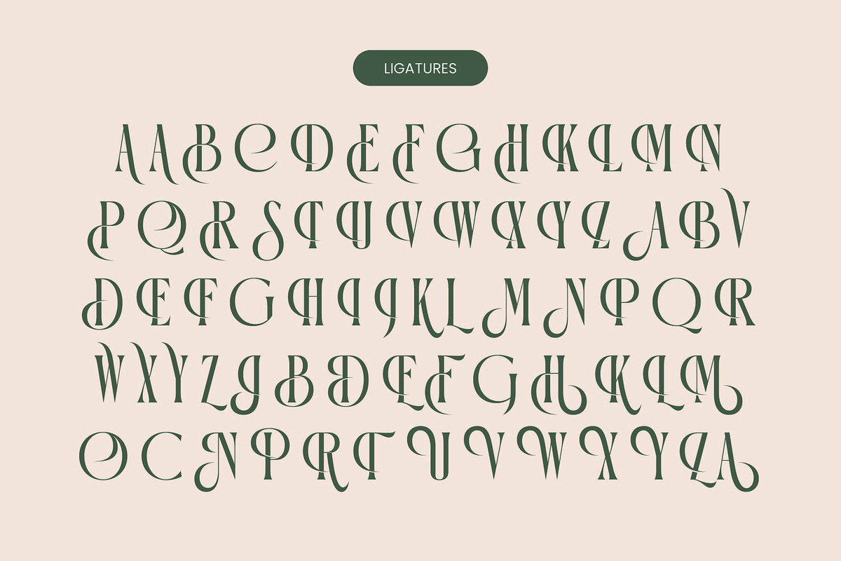 Orleans Brightens Modern Serif, a Serif Font by timelesstype.co (Photo 13 of 15)
