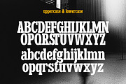 Lamost -Serif Font, a Slab Serif Font by Muflieart (Thumbnail 2 of 6)