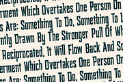 Smith Buck Modern Sans Serif, a Sans Serif Font by Storytype Studio (Thumbnail 9 of 15)