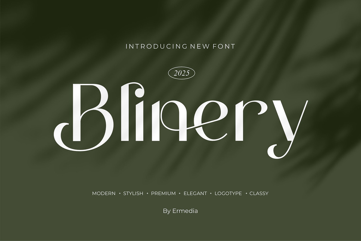 Blinery || Modern Sans Serif Font, a Sans Serif Font by Ermedia Studio (Photo 1 of 10)