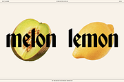 BN Tillman Gothic Display Typeface, a Serif Font by Bnick (Thumbnail 7 of 12)
