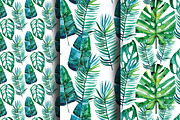 Watercolor tropical leaves, an Illustration by Olesya Morokhovets (Thumbnail 8 of 8)