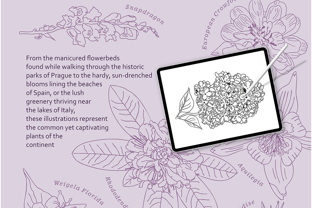 Preserving the bloom 100 flowers, a Decorative Illustration by Visual Animal (Photo 3 of 10)