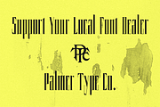 Coppola, a Serif Font by Chad Palmer Designs (Thumbnail 9 of 9)