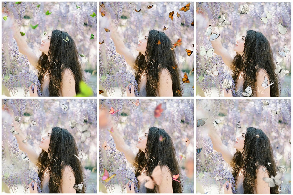 Butterfly PNG photoshop overlays, a Plug-in Add-On by ZephyrDigital (Photo 6 of 6)