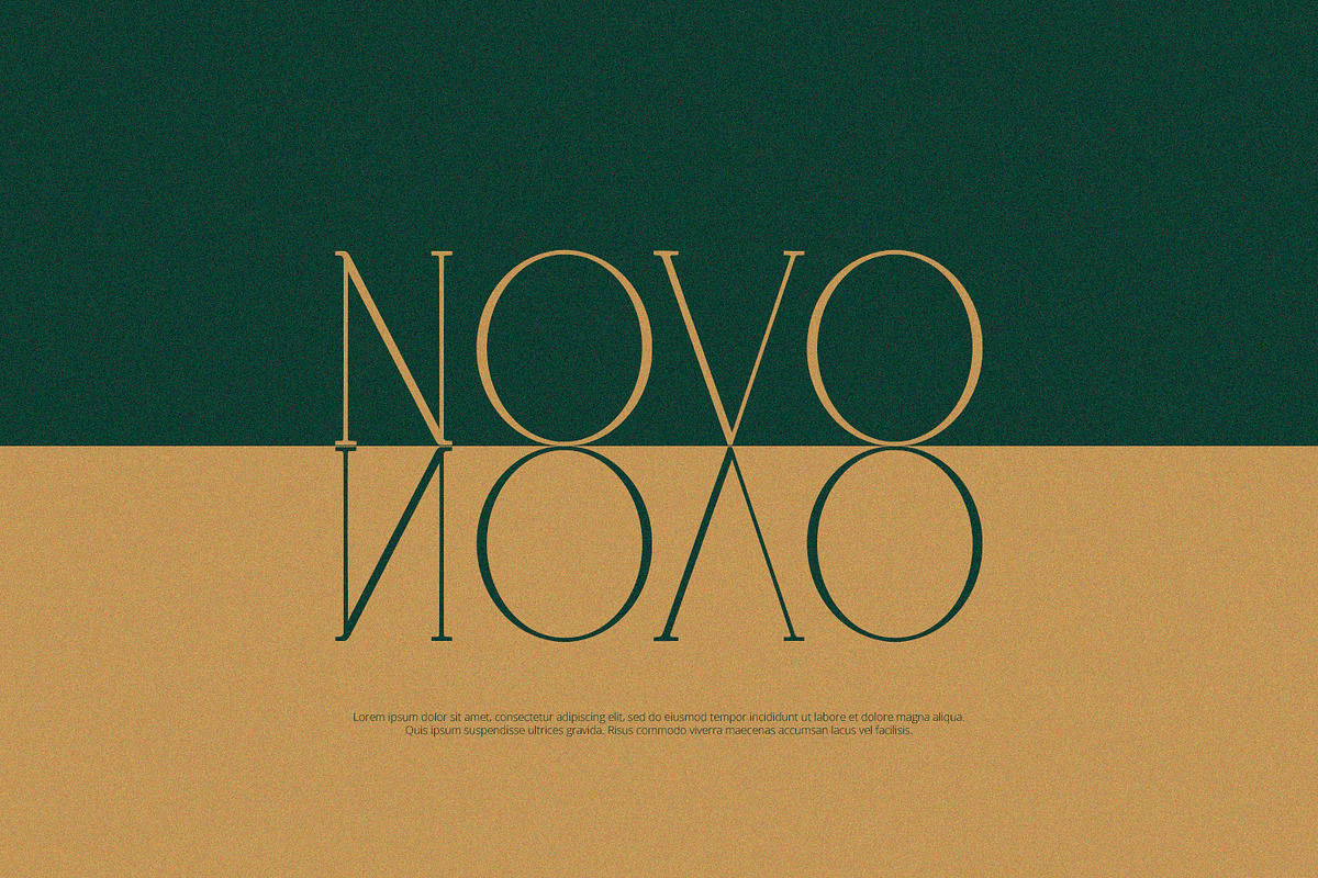 Vantique - Serif Font, a Serif Font by Alpaprana (Photo 4 of 10)