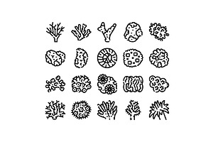 Underwater coral reef marine, an Animal Illustration by pikepicture