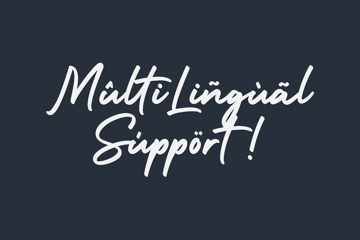 Holiday - Script Handwritten Font, a Script Font by alphArtype (Photo 10 of 13)