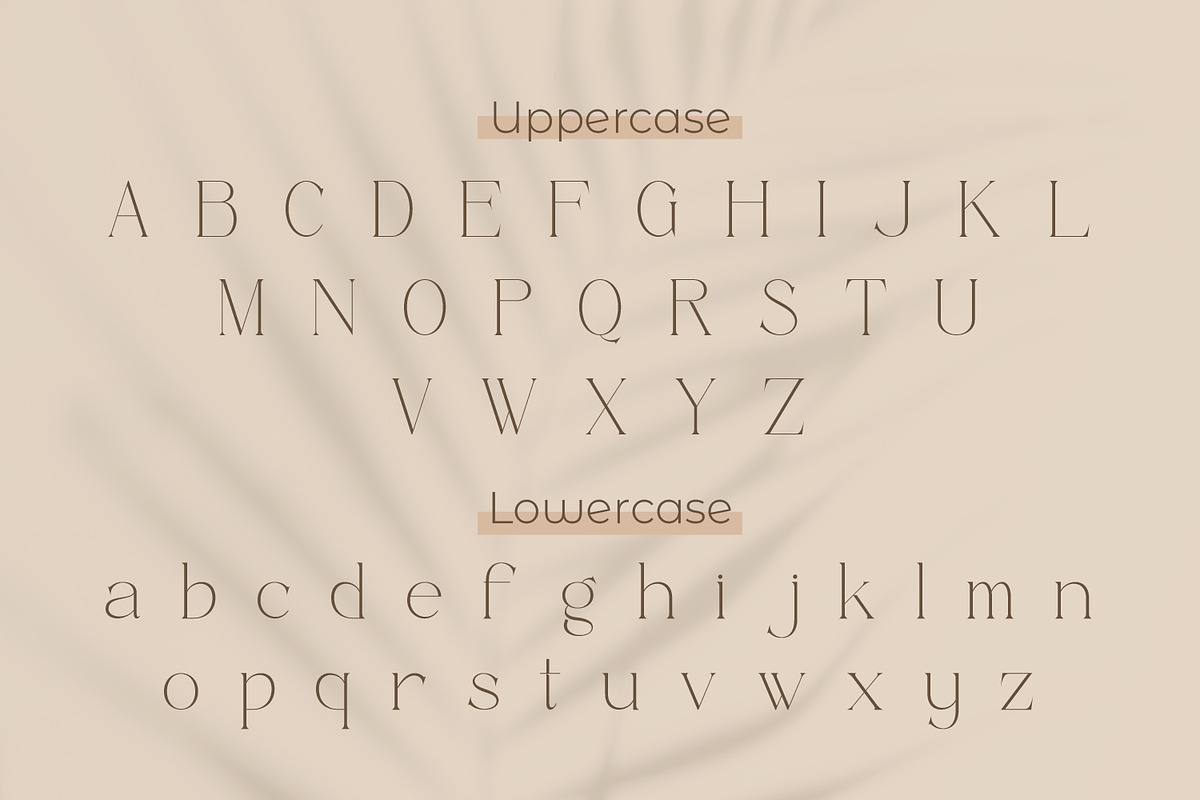 Effectas, a Serif Font by Rishsketch (Photo 9 of 13)