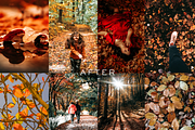 10 Autumn Leaves Lightroom Presets, a Preset Add-On by RamsaGraphi (Thumbnail 3 of 10)